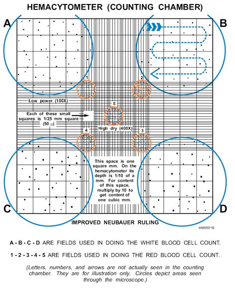 Manual white blood cell count with hemocytometer. - Lasers principles and applications solution manual.